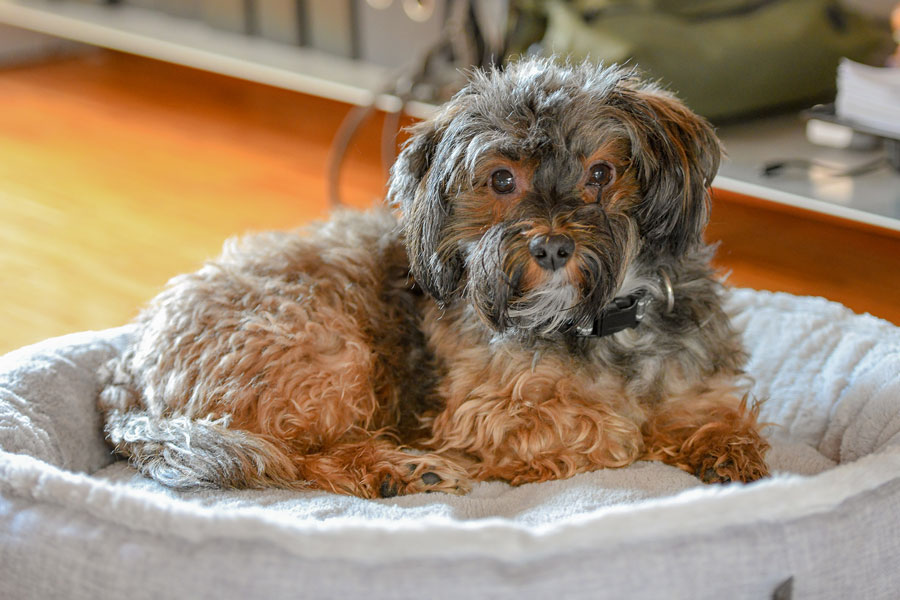 Hans-Joachim Kraft - Steuerberater, Bocholt